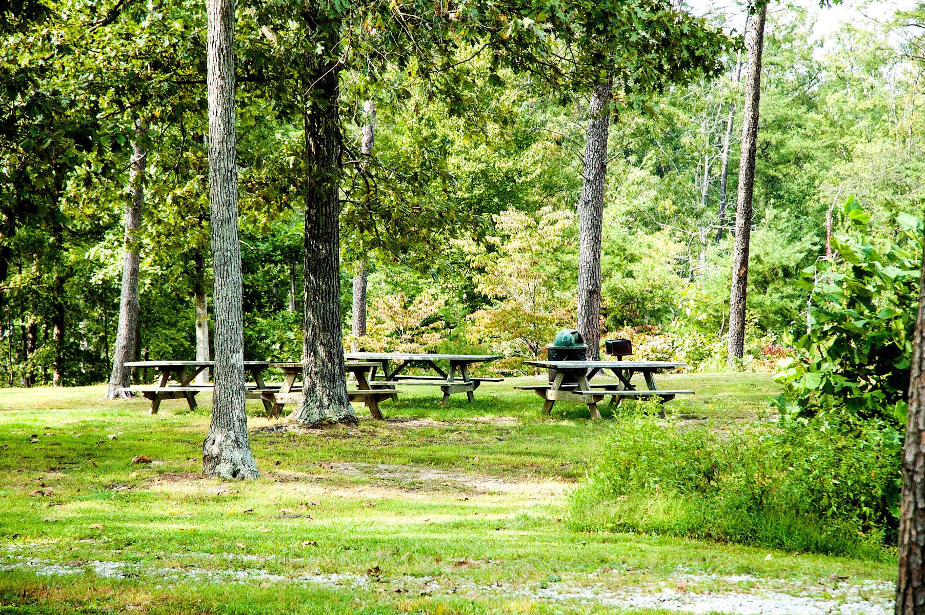 Deam lake shop horse camp