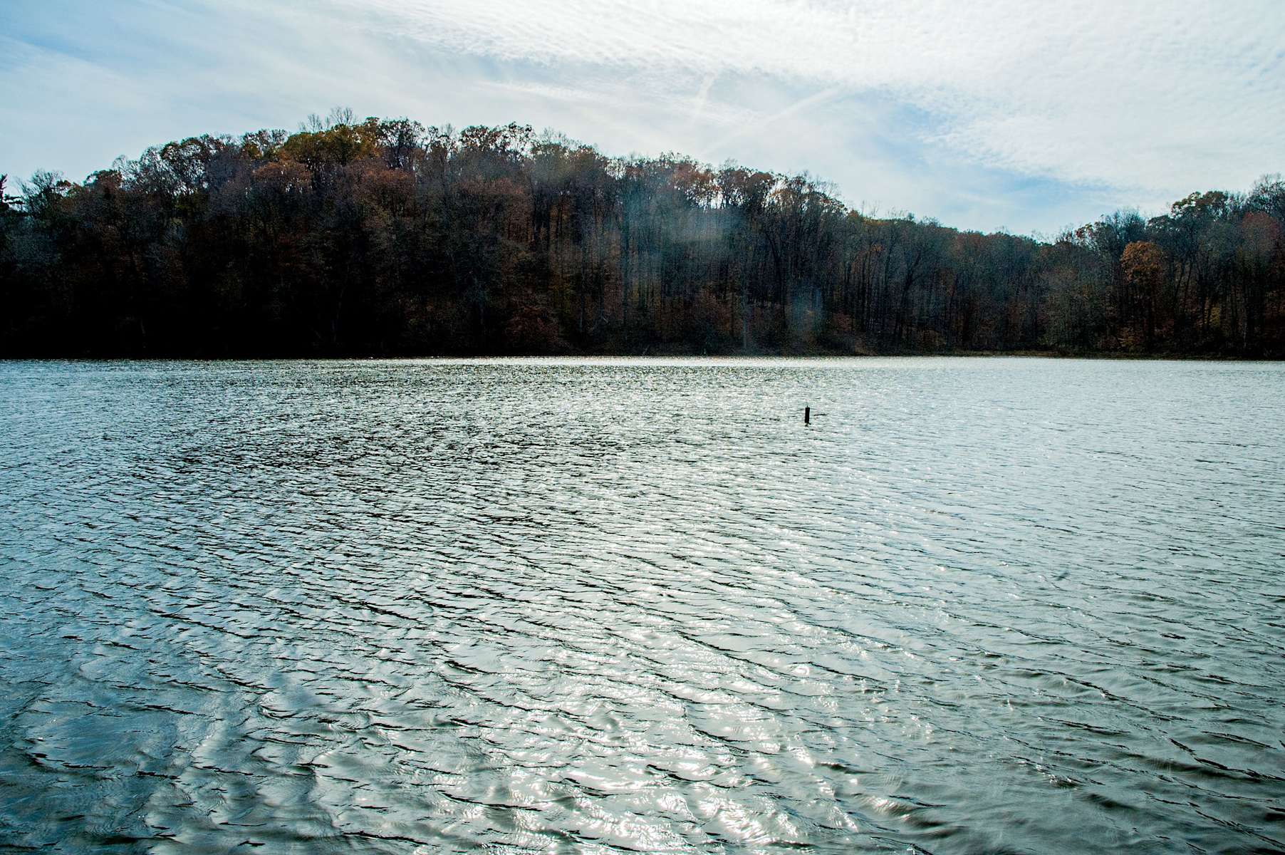 Ferdinand Campground, Ferdinand, IN 4 Photos