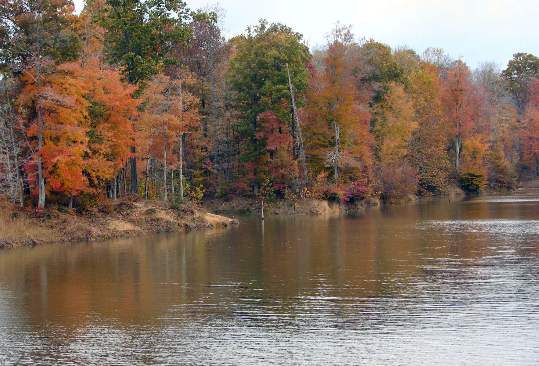 Patoka Lake Campground, Patoka Lake, IN 4 Photos