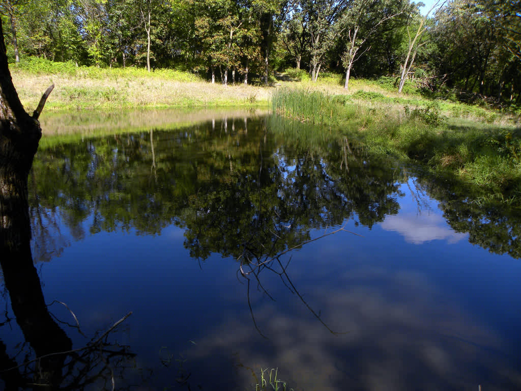 Viking Lake Campground, Viking Lake, IA 4 Photos