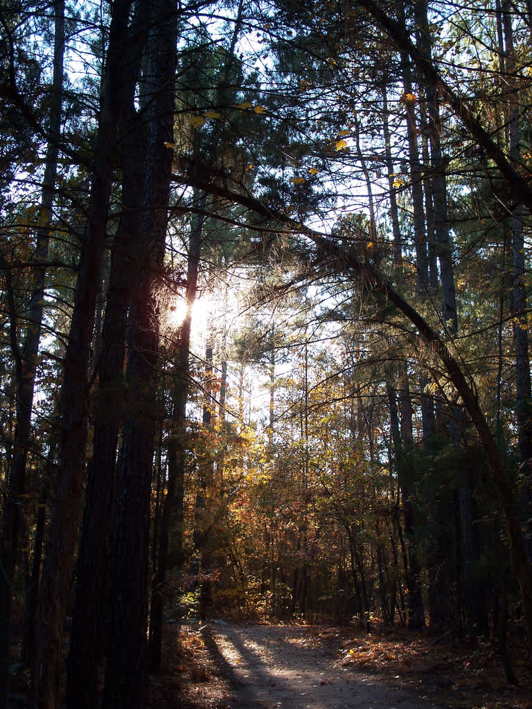 Baker Creek Campground, Baker Creek, SC 1 Photo