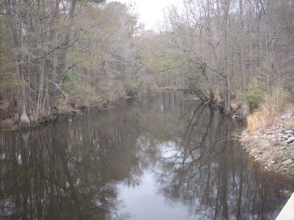 Escape to the Enchanting Lumber River: Your NC State Park Adventure Awaits!