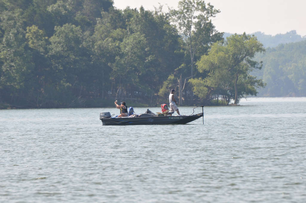 Poole Knobs Campground, J Percy Priest Lake, TN: 1 Hipcamper Review