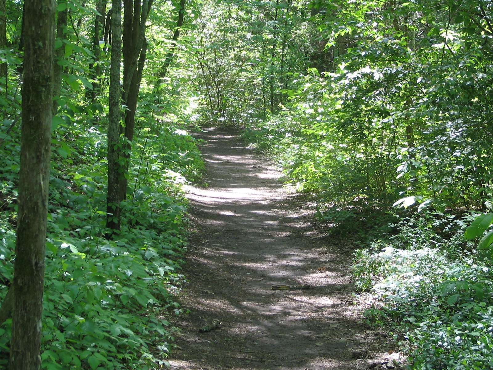 Wrangler Campground Natchez Trace State Park TN