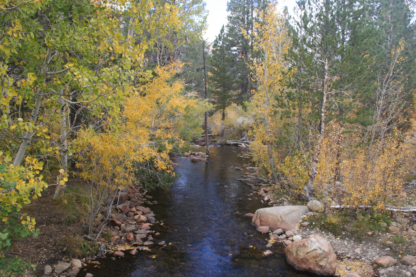 Forks Campground, Inyo, CA 1 Photo