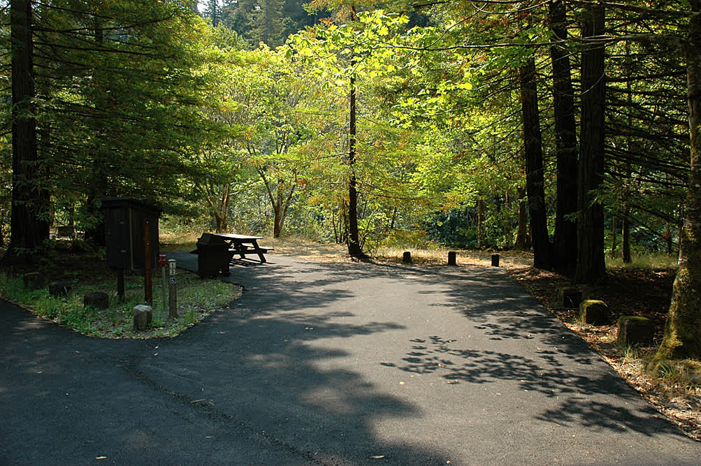 Grizzly shop creek camp