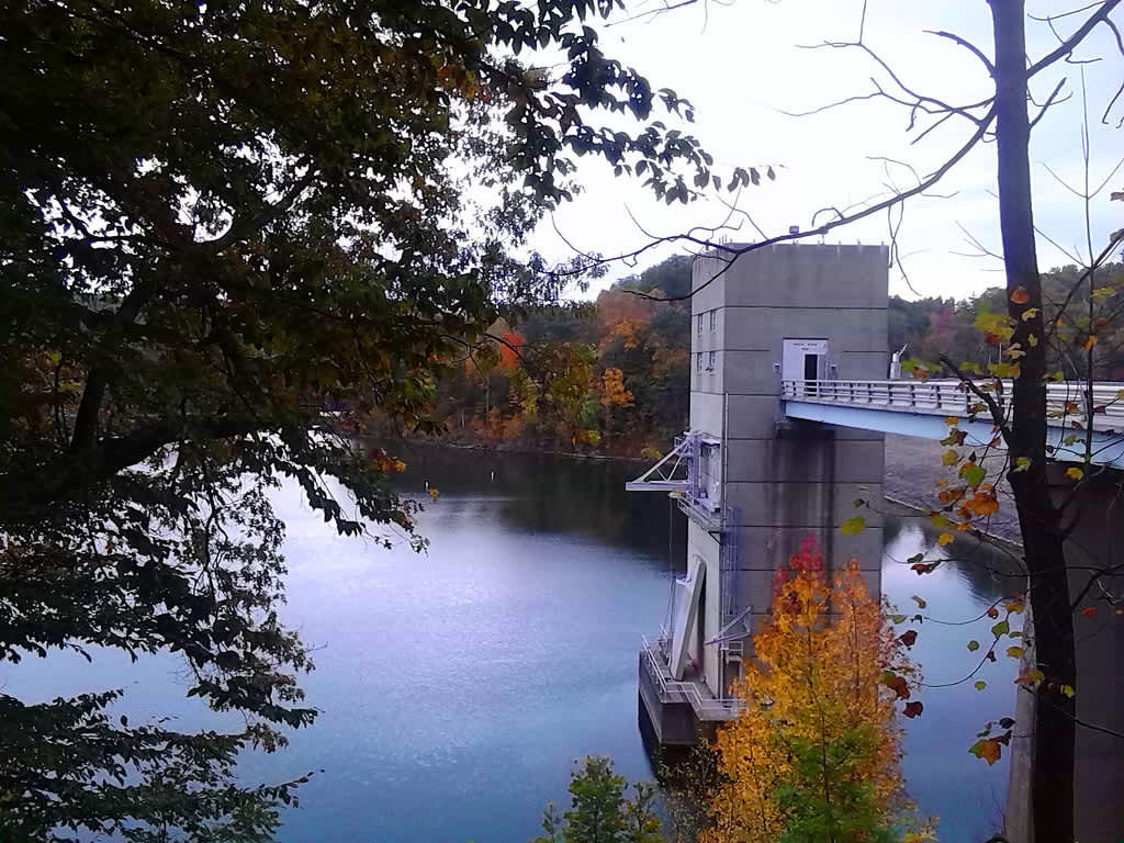 Dog Creek Campground, Nolin River, KY