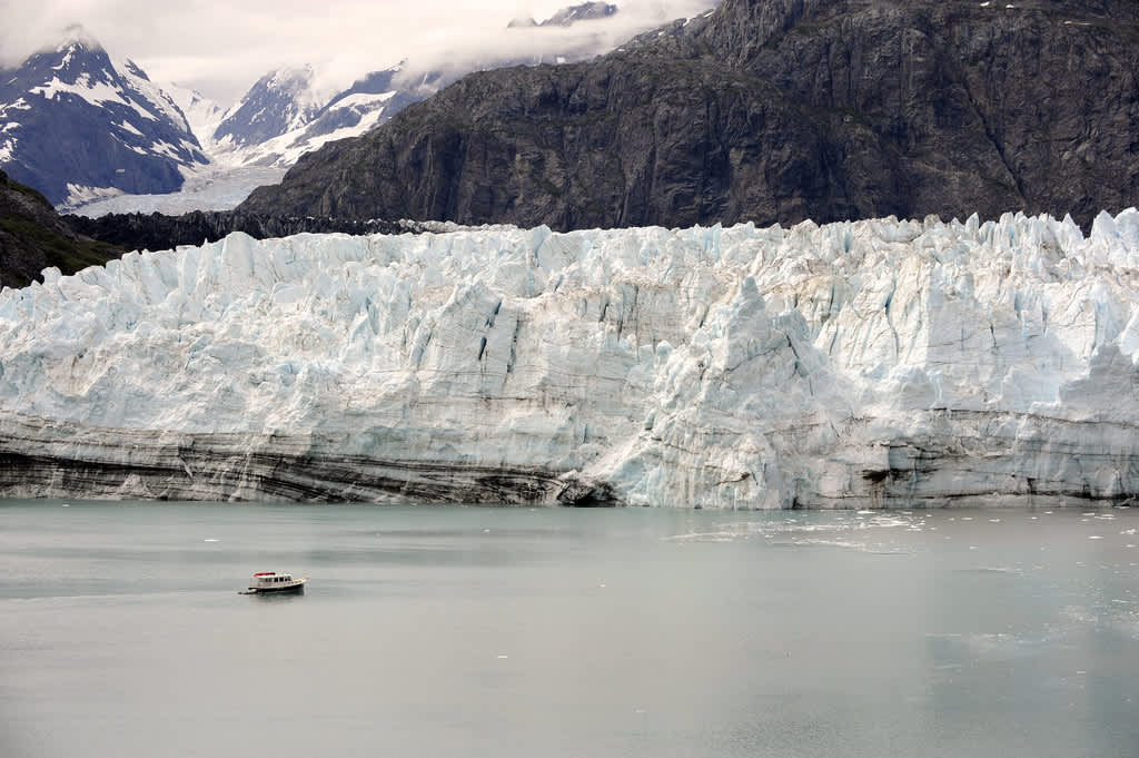 Bartlett Cove Campground, Glacier Bay, AK: 1 Hipcamper Review And 8 Photos