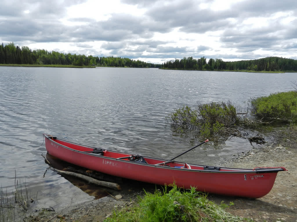 Nancy Lake Canoe Trail Campground, Nancy Lake, AK