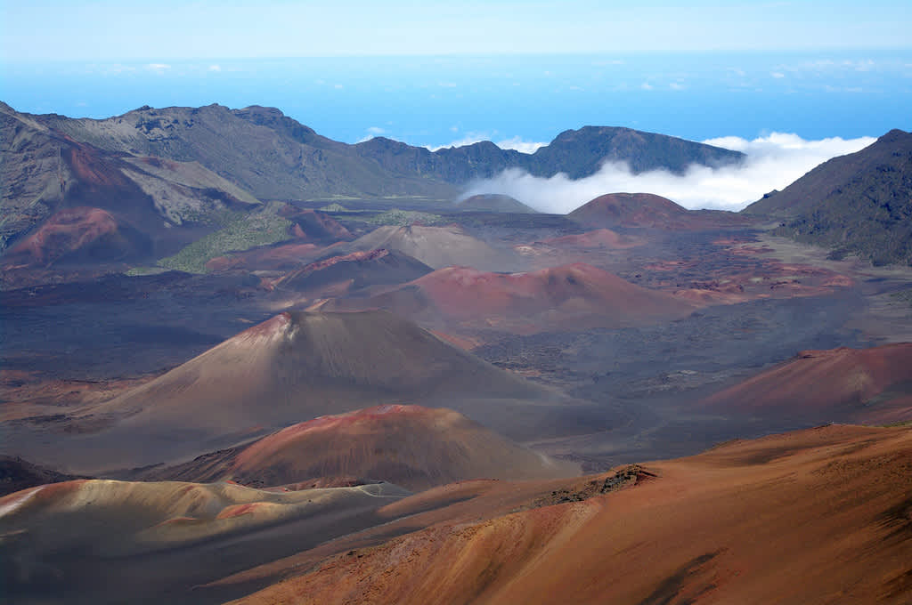 Hosmer Grove, Haleakalā, HI: