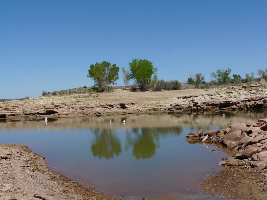 Raccoon Campground, Sumner Lake, NM: