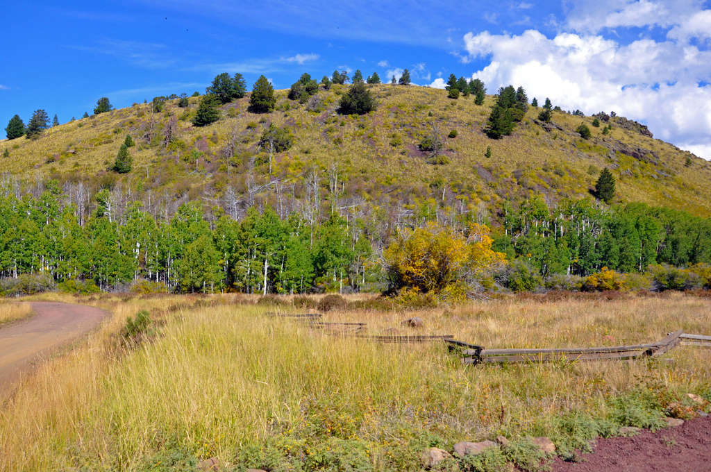 Double Springs Campground, Coconino, AZ