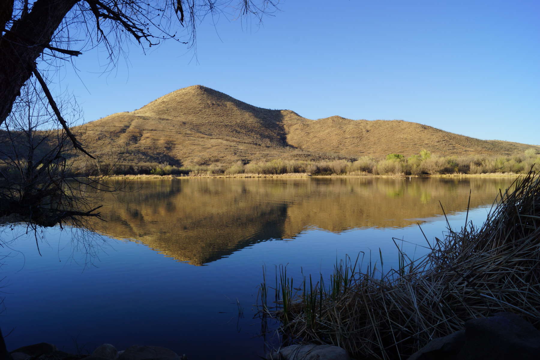 Patagonia Lake Campground, Patagonia Lake, AZ 5 Hipcamper Reviews And