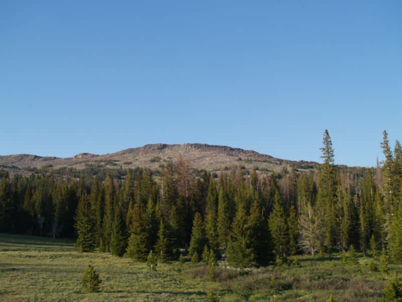 Sundance Campground, Black Hills, WY 1 Hipcamper Review