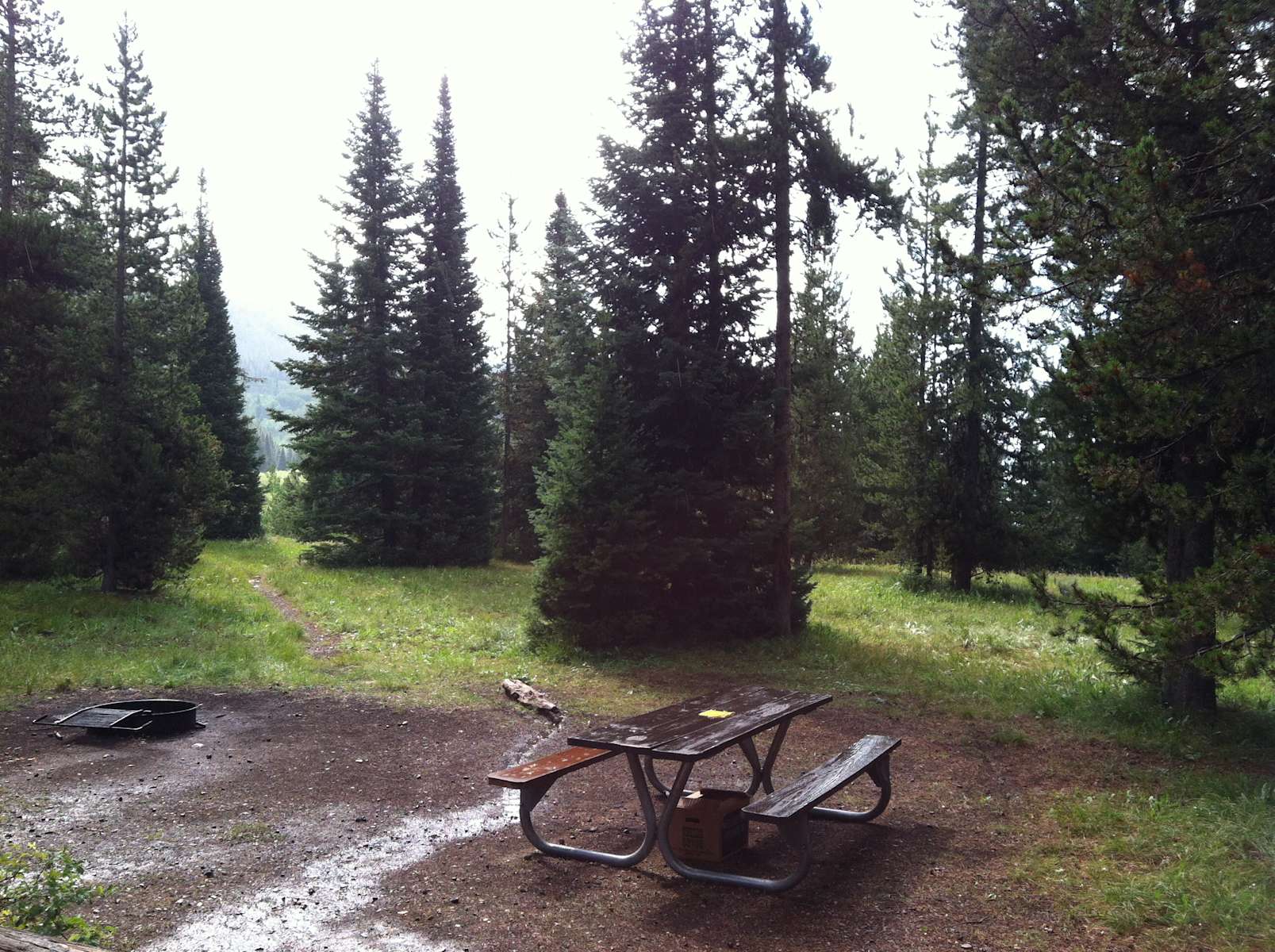 Lizard Creek Campground, Grand Teton, WY 2 Hipcamper Reviews And 1 Photo