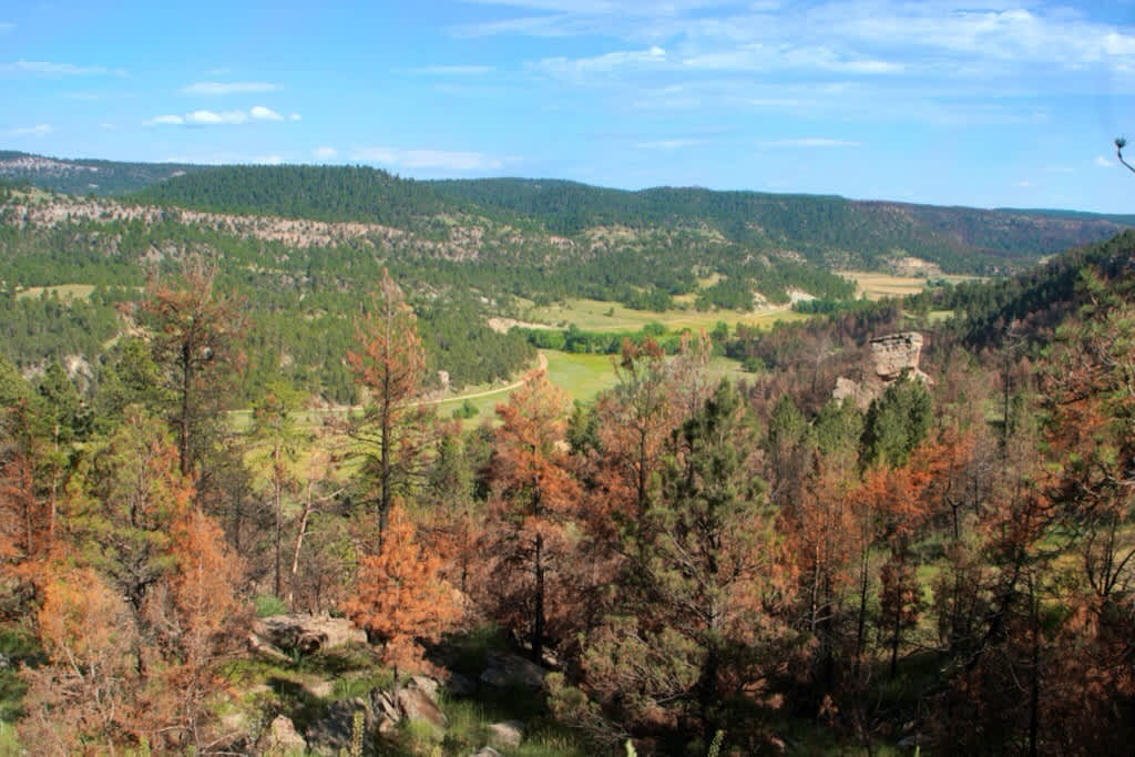 Bismarck Lake Campground: Your South Dakota Escape Awaits!