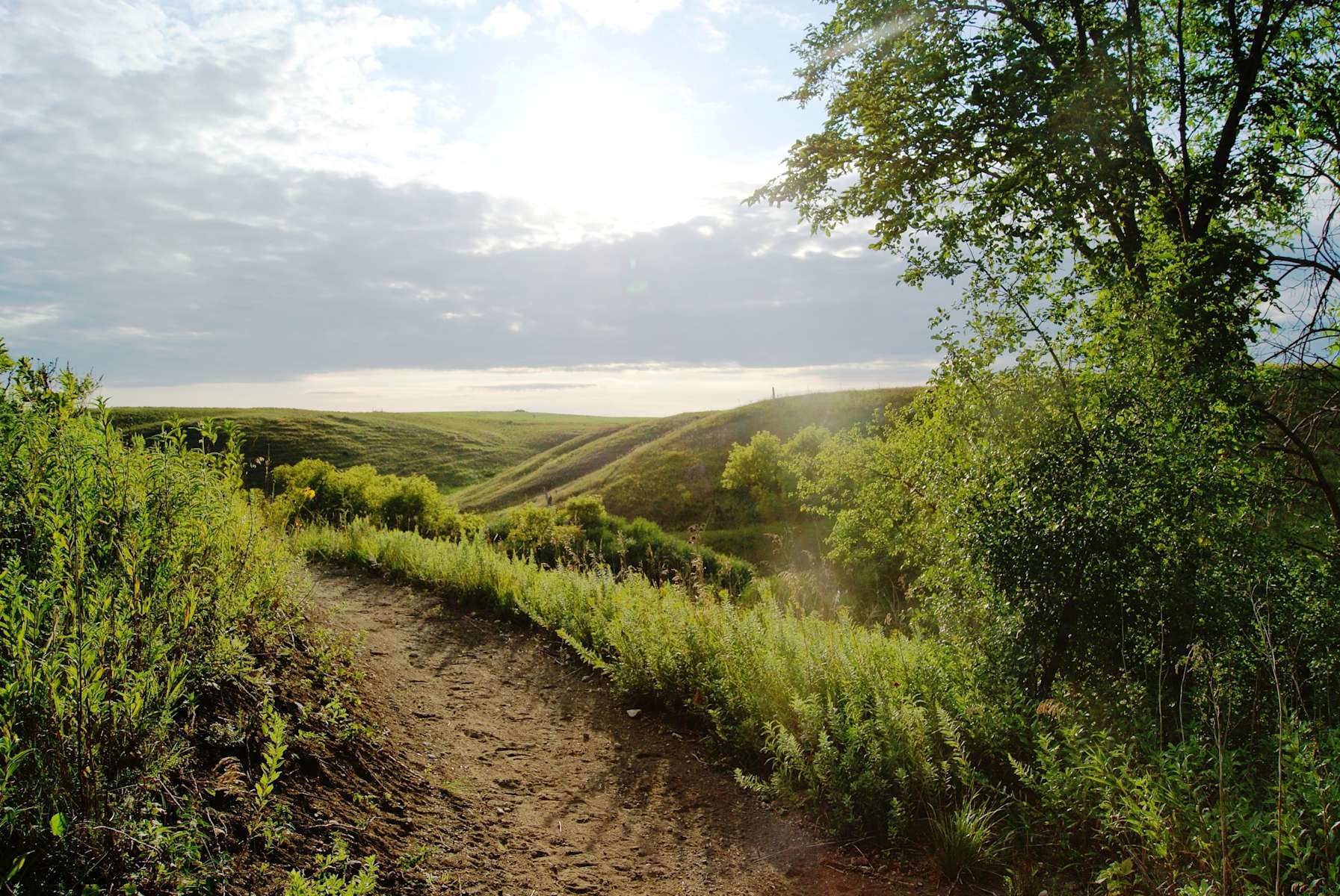 Escape to the Wild: Discover the Untamed Beauty of Pierson Ranch Recreation Area