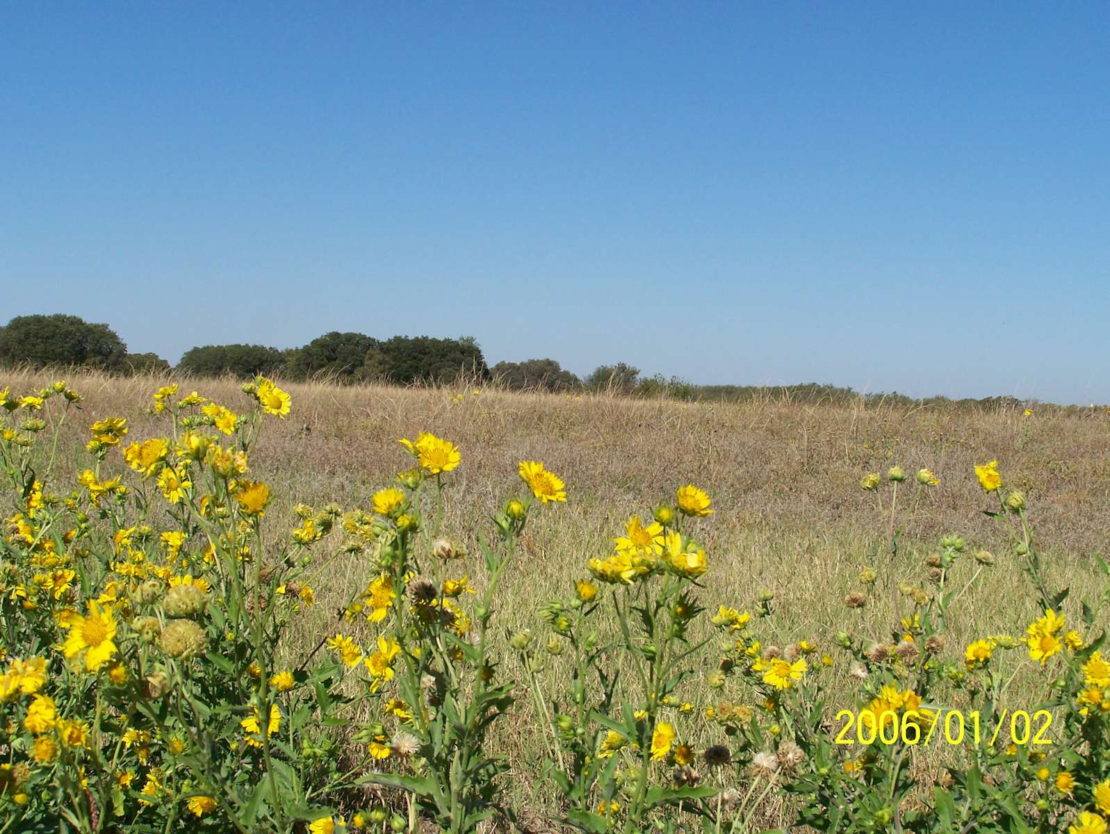 Skipout Campground, Black Kettle, OK