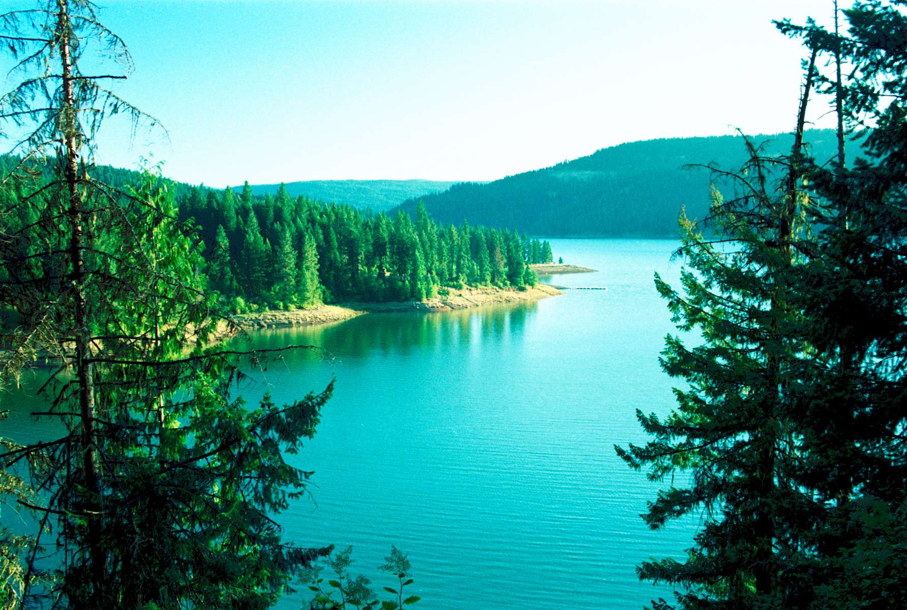 Canyon Creek Campground Dworshak Reservoir ID 