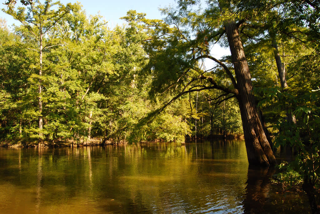 Wenks Landing Recreation Area, Bayou Bodcau, LA: