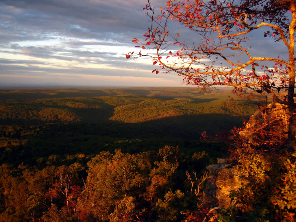 Escape to Arkansas' Hidden Gem: Long Pool Recreation Area