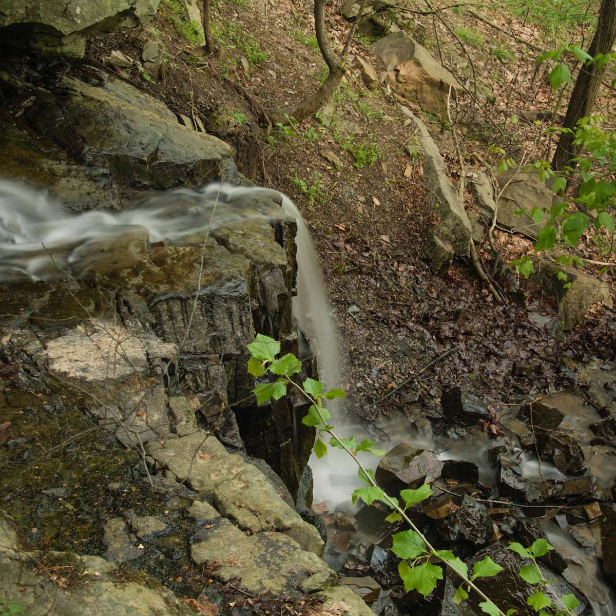 Horseshoe Bend Campground, Dierks, AR