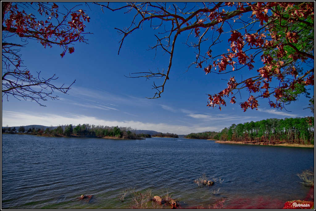 Little Fir Campground, Ouachita Lake, AR: