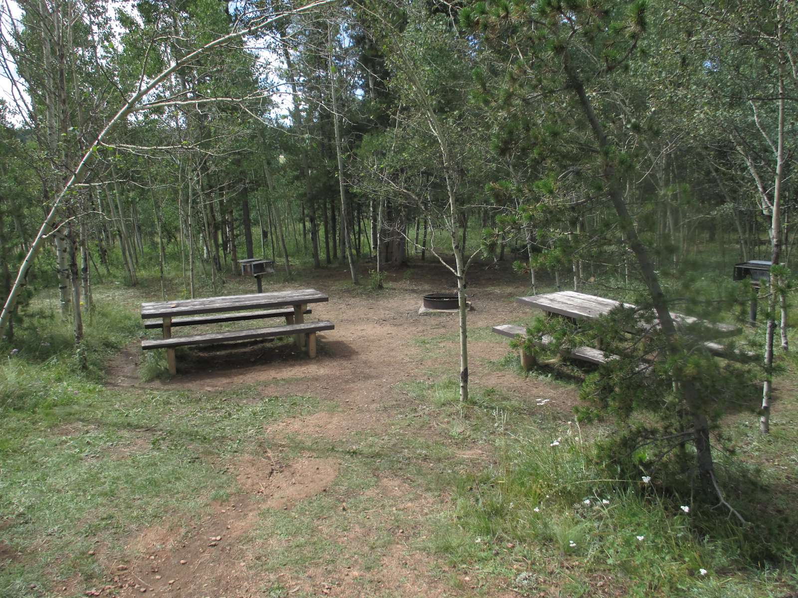 Timberline campground hot sale