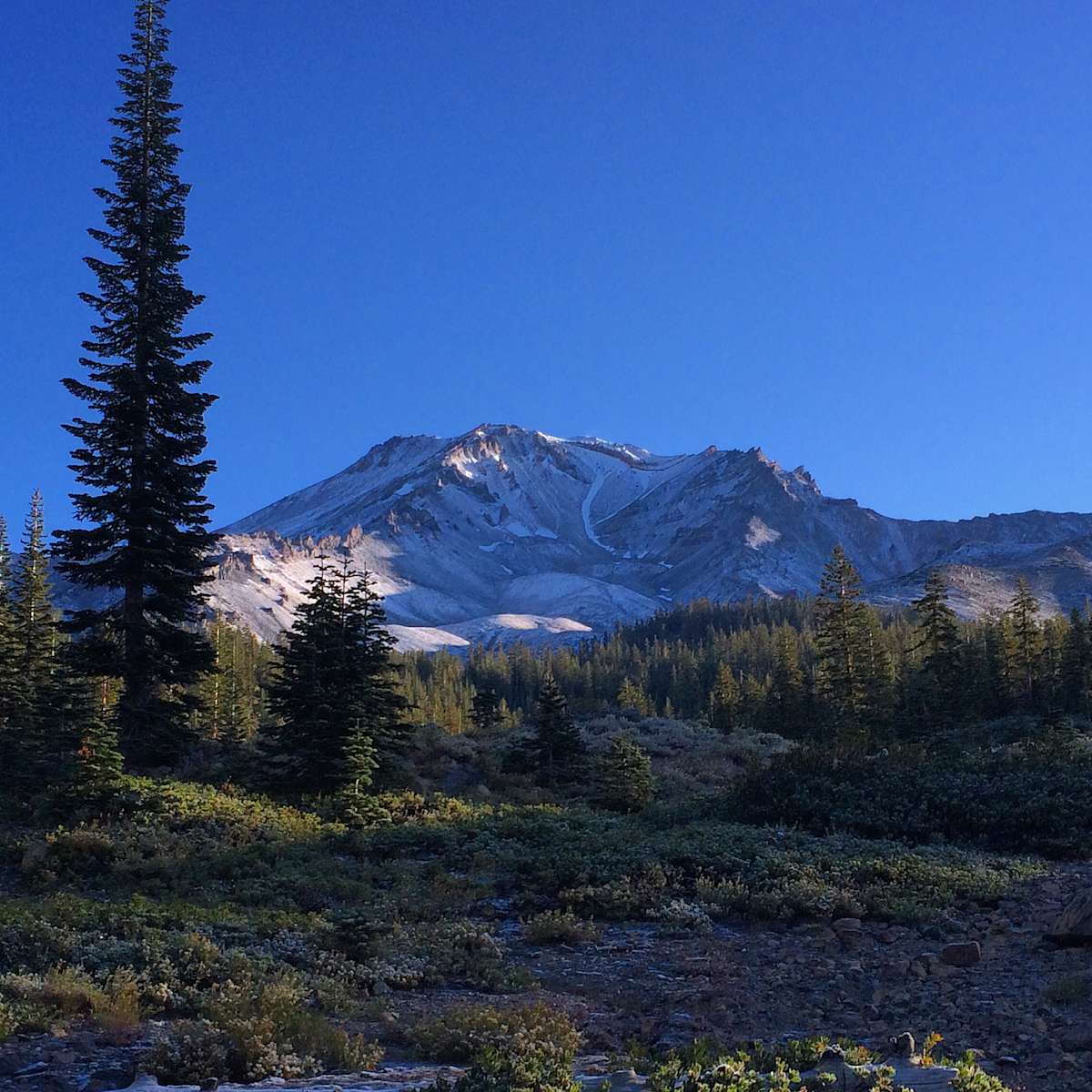 Panther meadow deals campground