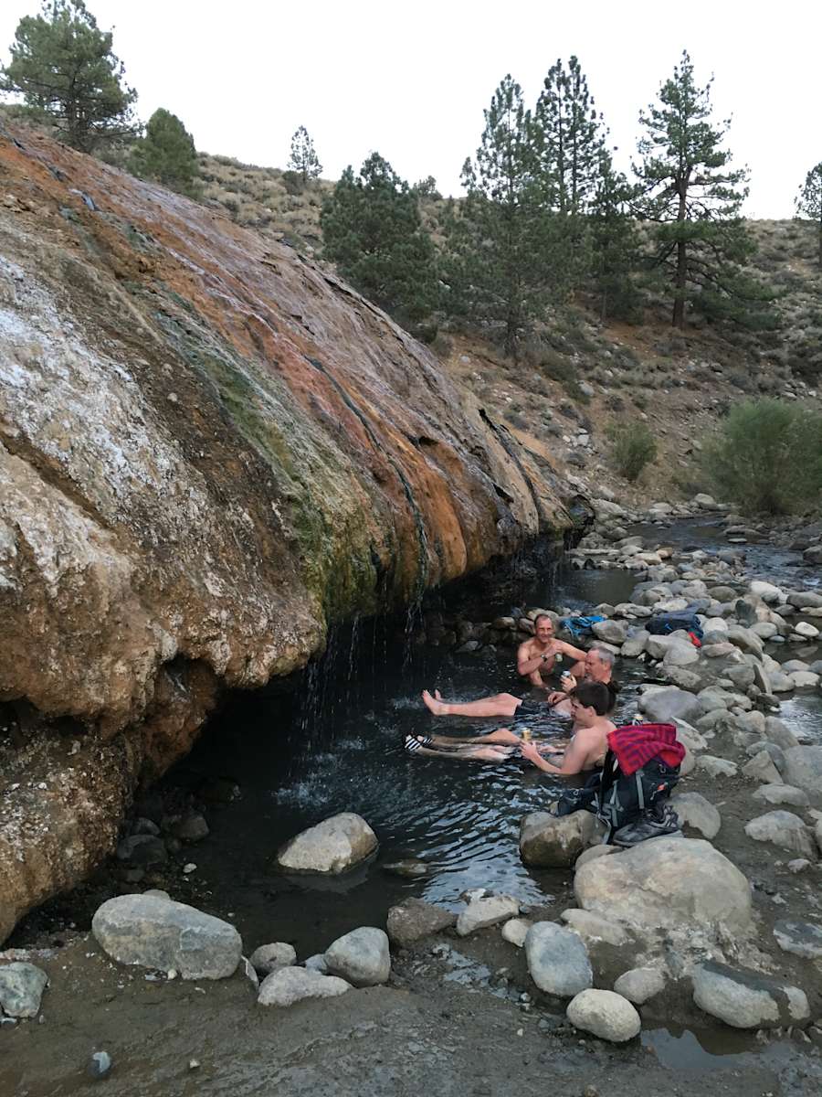 Escape to the Emerald Embrace: Your Guide to Buckeye Campground, Northern California
