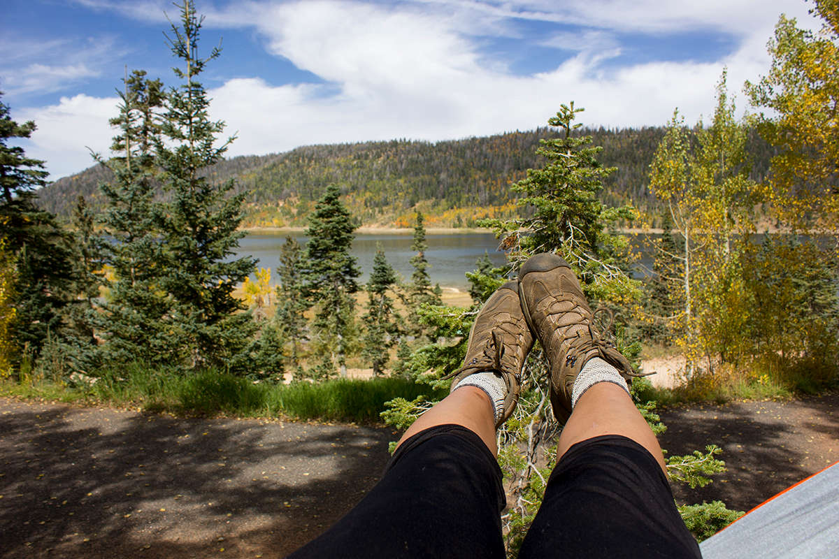 Spruces campground top
