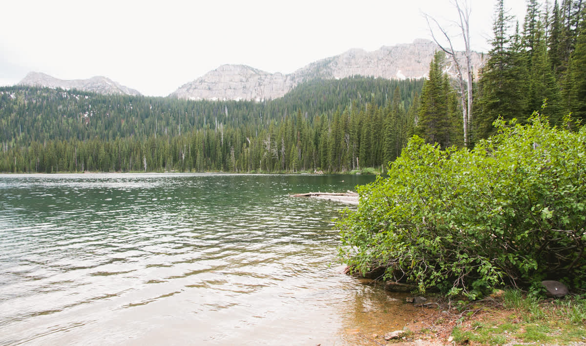 Escape To Serenity: Big Therriault Lake Campground, Montana
