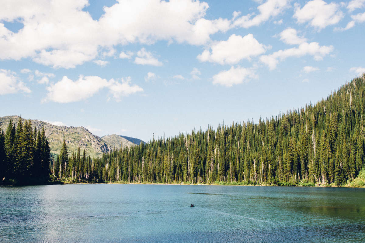 Meadow Lake Campground