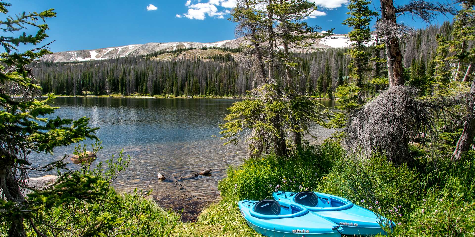 Brooklyn Lake Campground Medicine Bow Wy 3 Photos