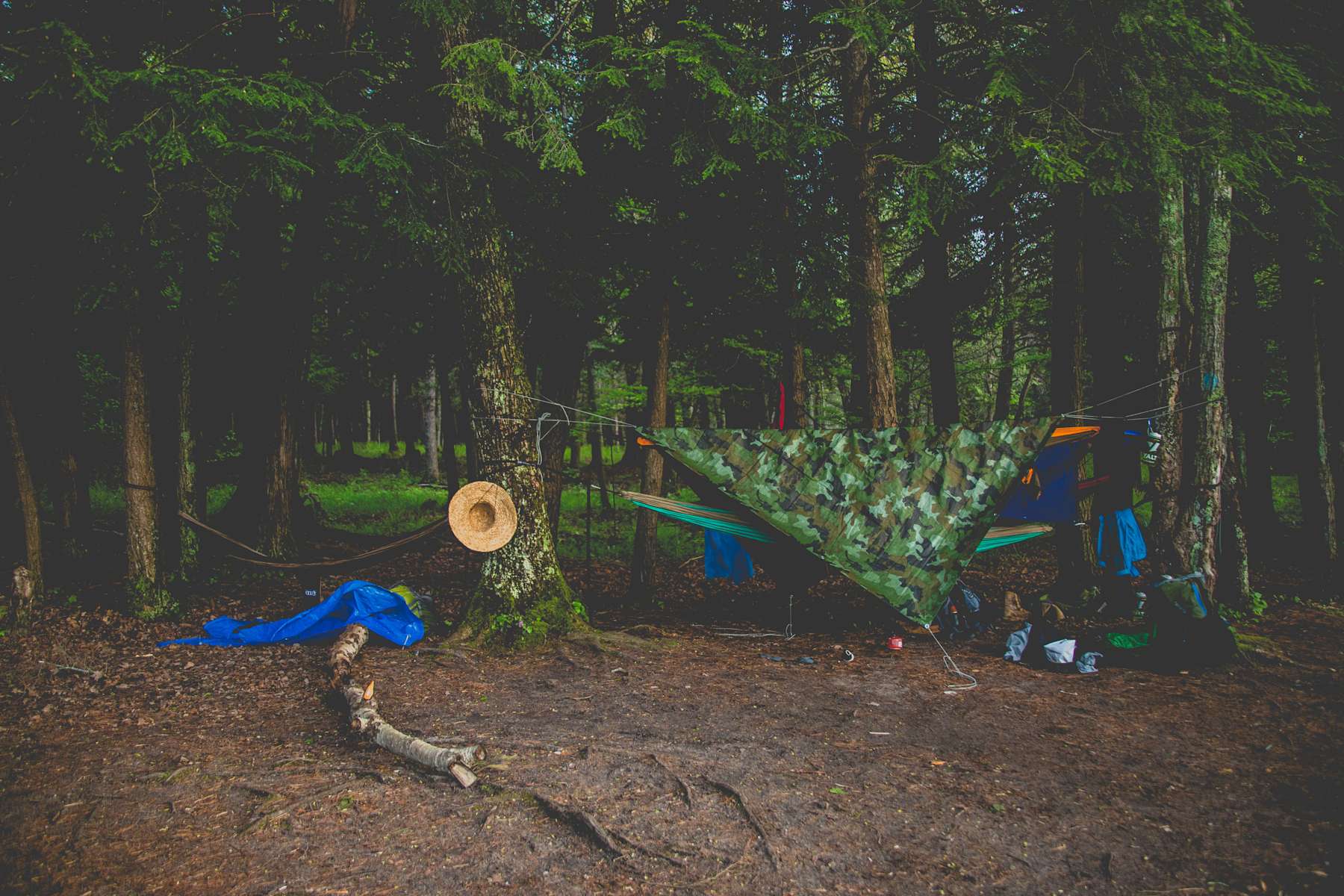 Pines Point Campground Huron Manistee Mi 1 Hipcamper Review And 4 Photos