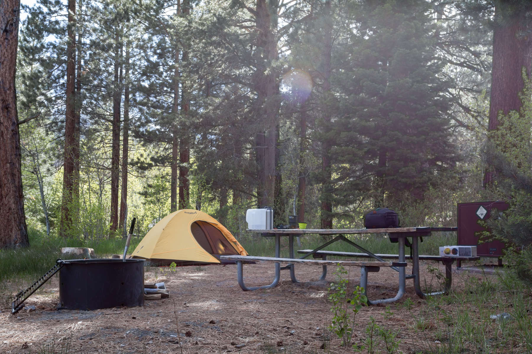 Lower Lee Vining Campground, Inyo, CA: 6 Hipcamper Reviews And 8 Photos