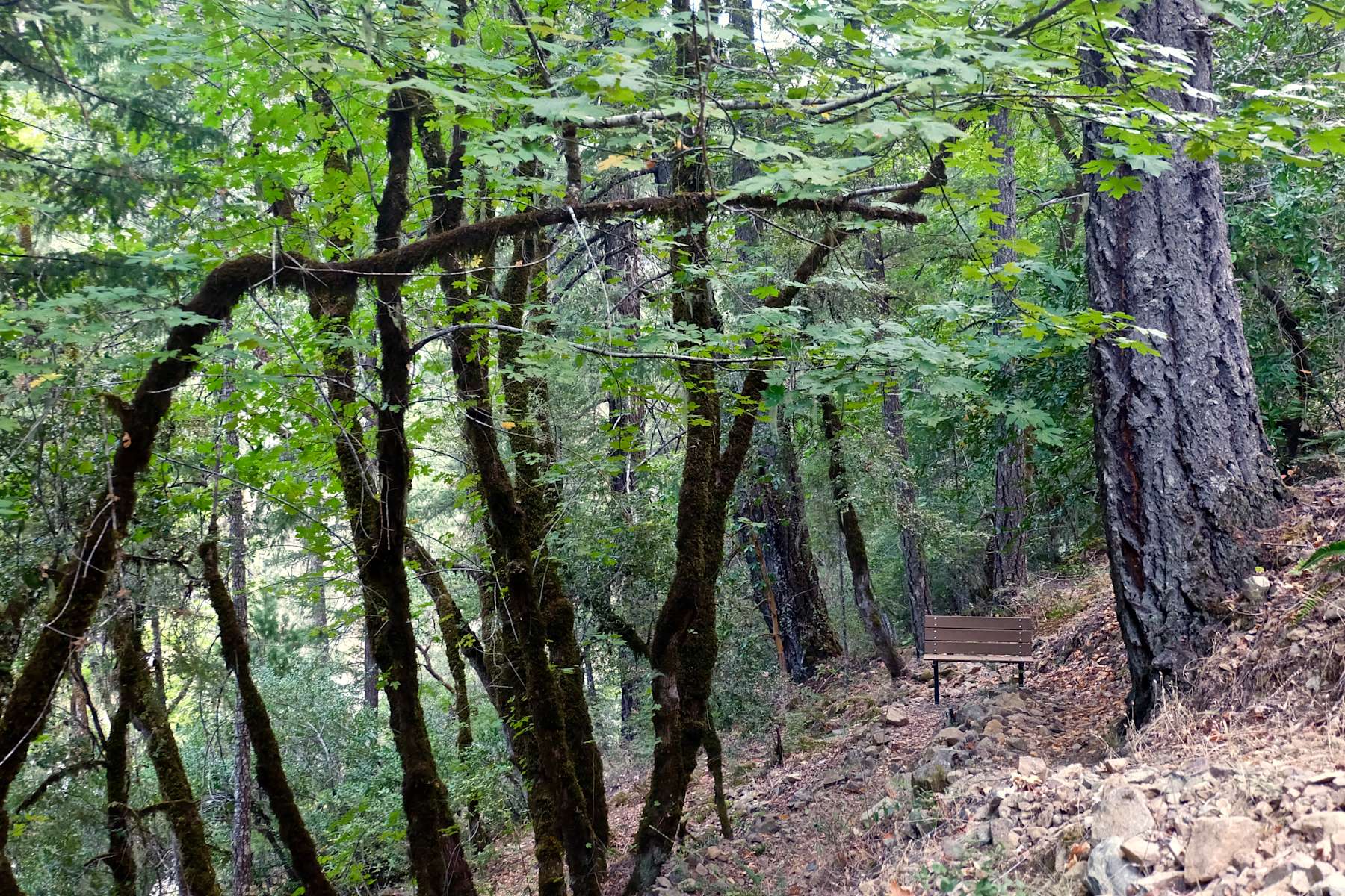 Escape To Oregon’s Sixmile: Your Unforgettable Campground Adventure