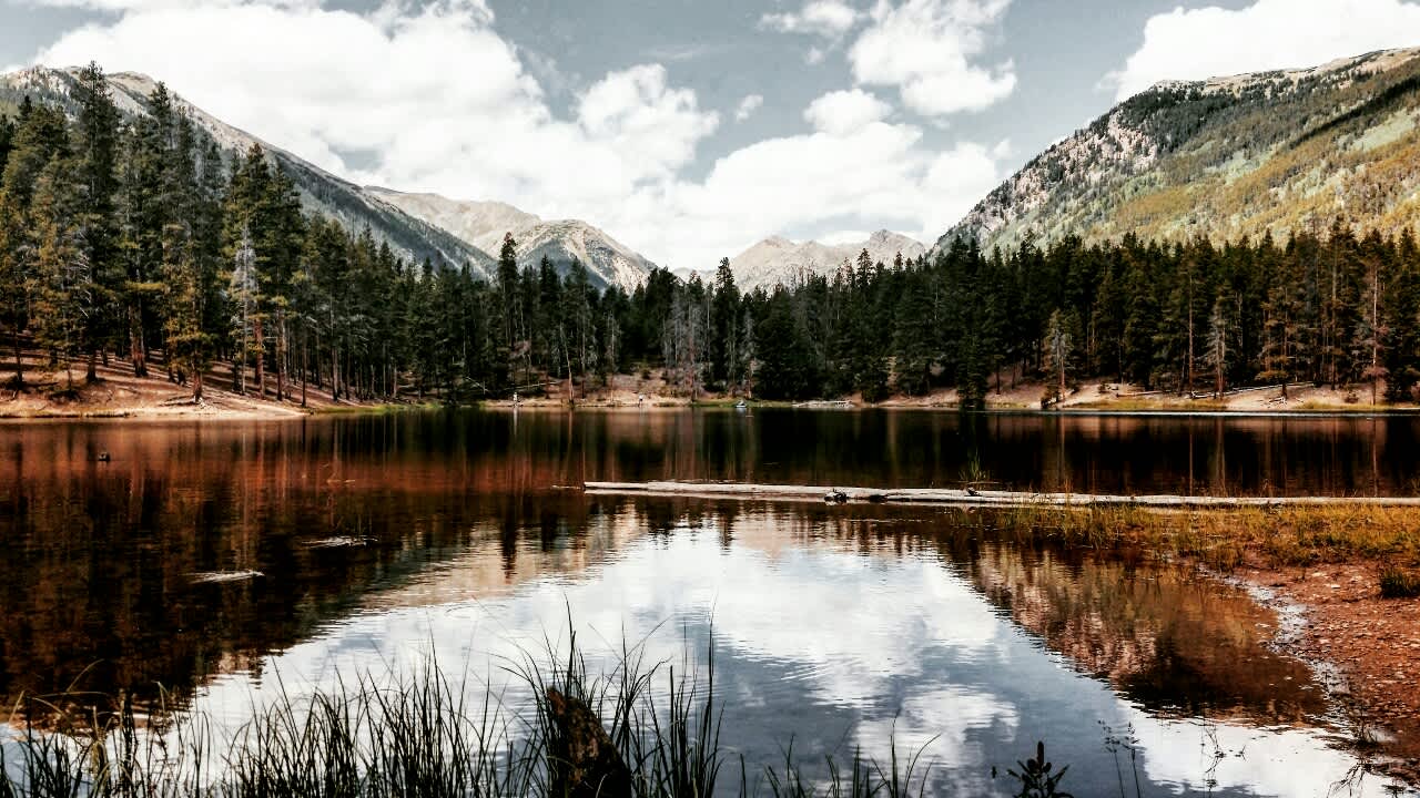 Elbert creek deals campground