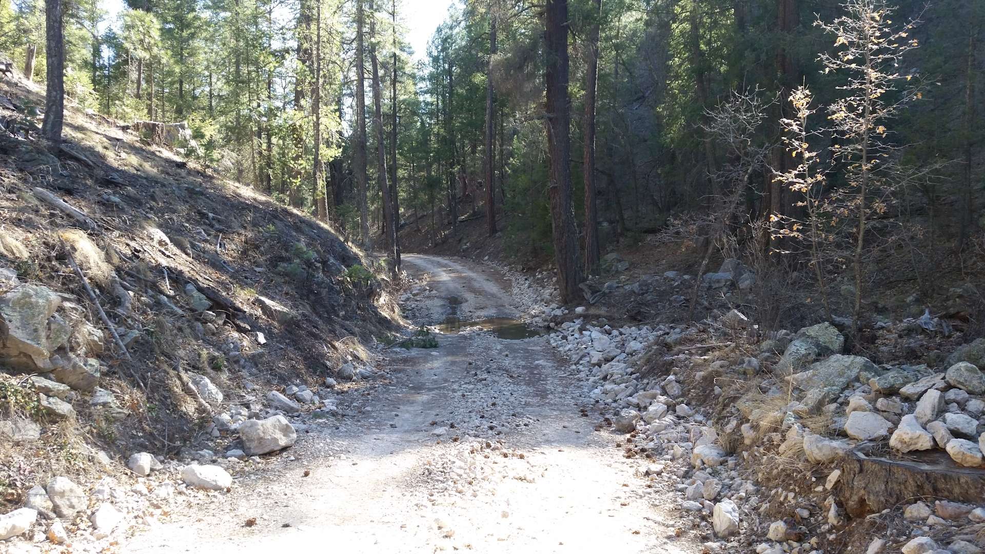 Escape To Enchantment: Unveiling New Mexico’s Upper Black Canyon Campground