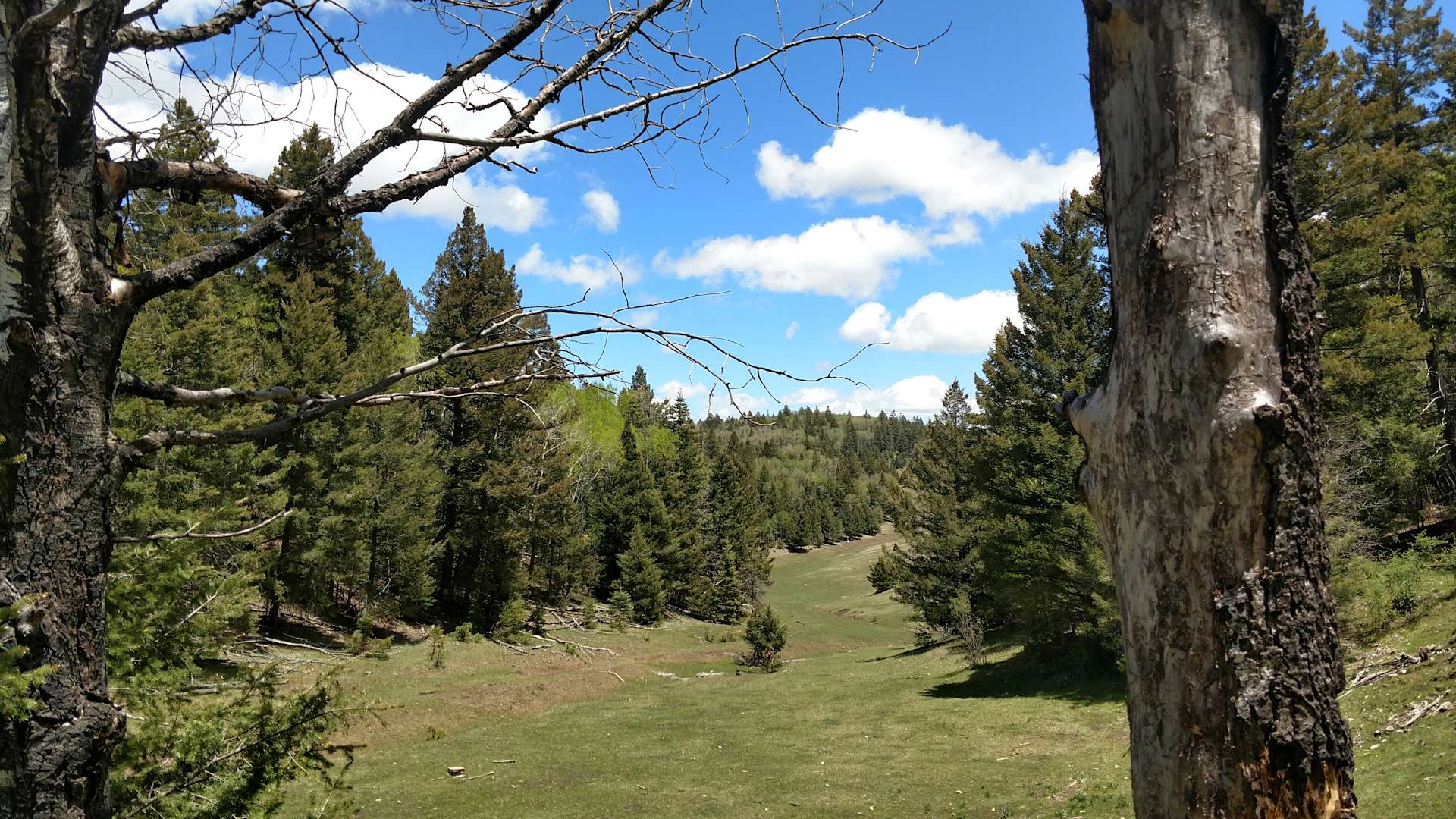 Upper Karr Recreation Area Lincoln National Forest Nm 3 Hipcamper Reviews And 18 Photos