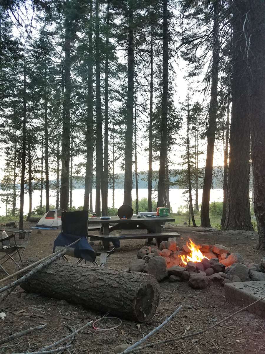 Escape To Running Deer Campground: Your Northern California Adventure Awaits!