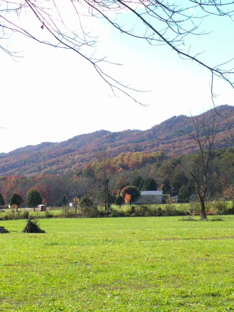 Tn Primitive Tent Camping Sites, O'handley's Valley View ...