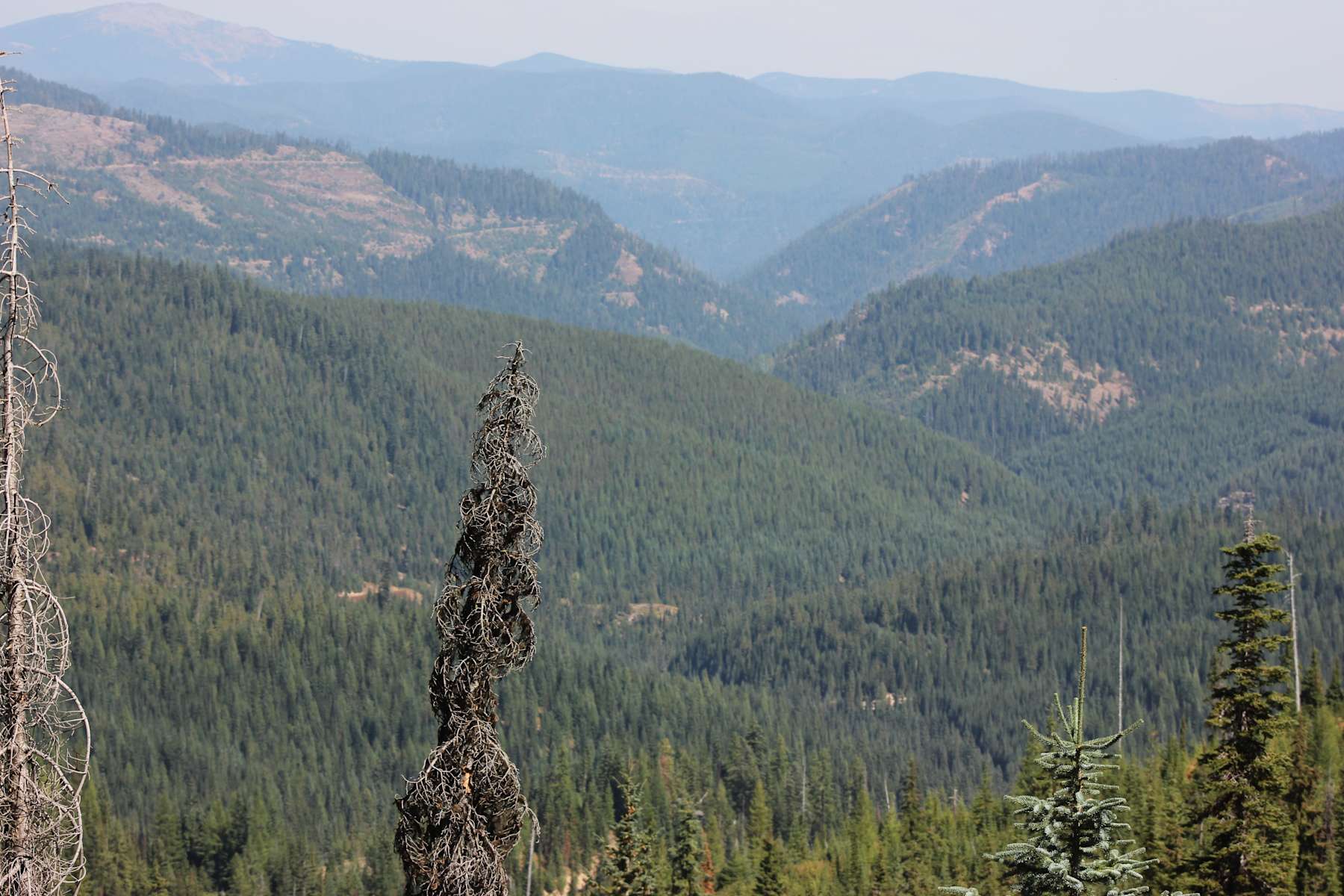Escape To Idaho’s Natural Wonder: Mammoth Springs Campground