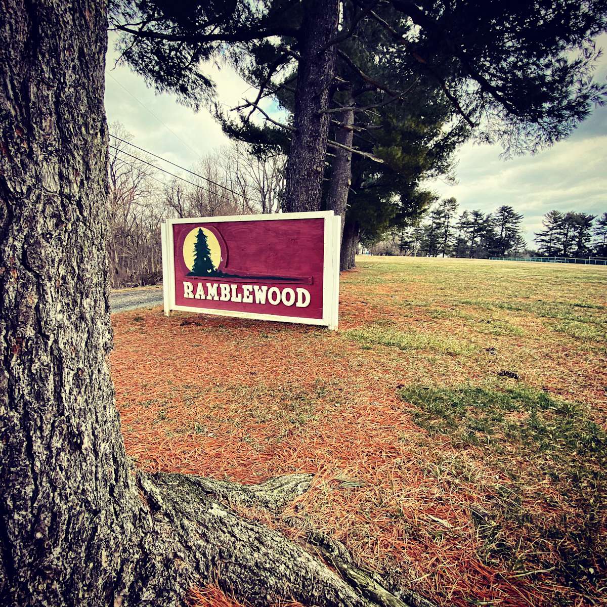 Camp Ramblewood, Ramblewood A Rustic Resort, MD 5 Hipcamper Reviews