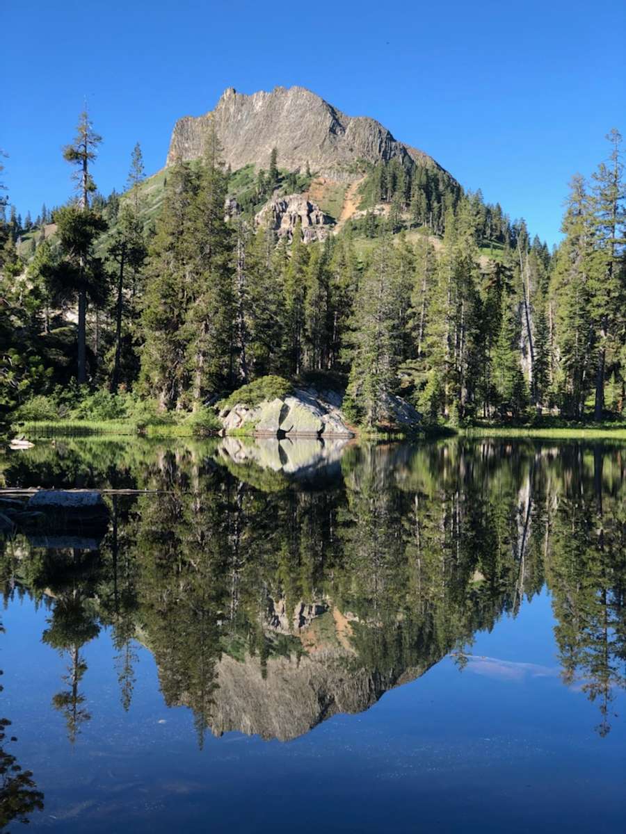 Tahoe Mountain Camp Charles S S Land Ca 143 Hipcamper Reviews And 117 Photos