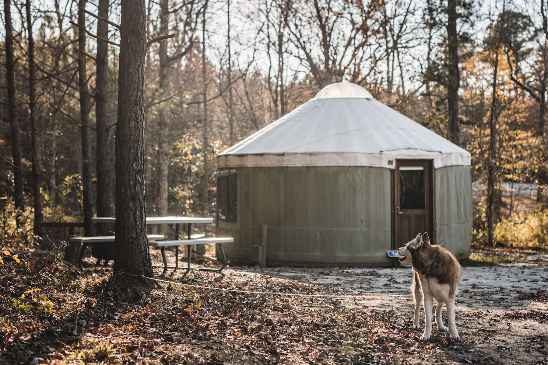 20 Foot Yurt In Raleigh/2, Lakeside Retreats Walnut Hill, NC 16