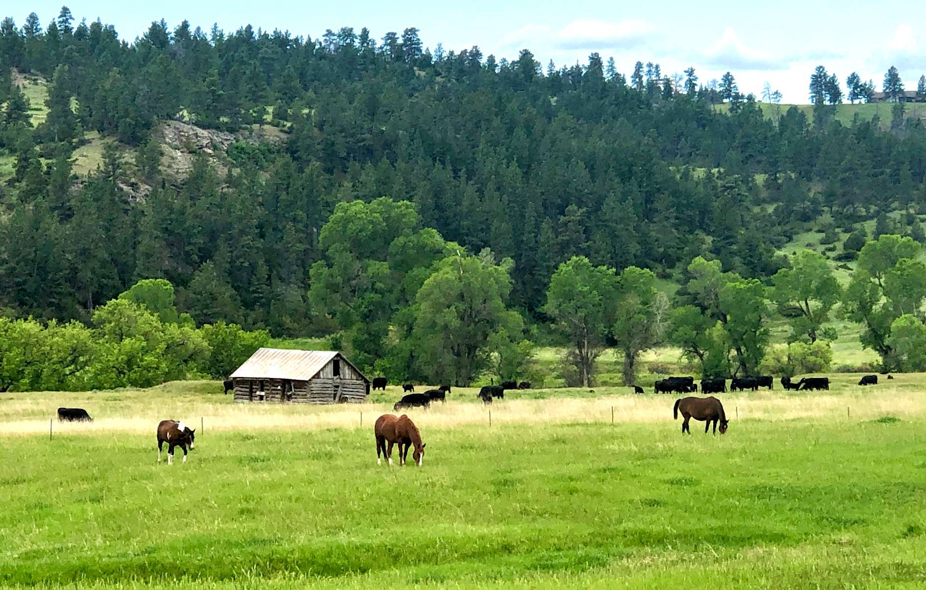 Trinity Ranch, Trinity Ranch, MT 10 Photos