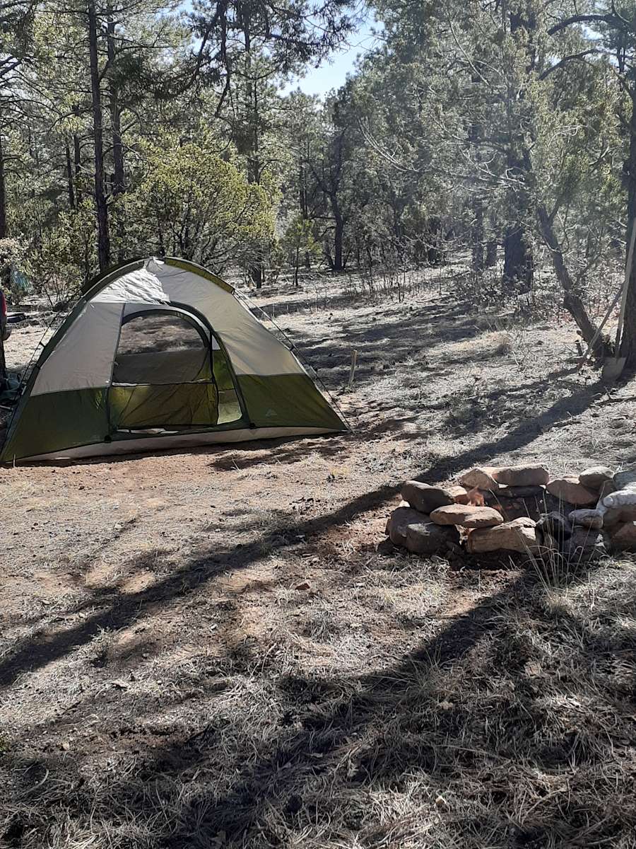 David W.’s Land Hipcamp in Mountainair, New Mexico