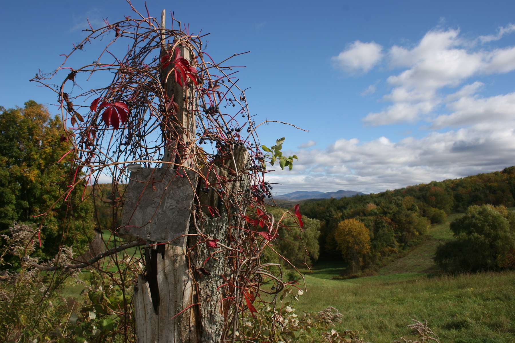 Breathtaking Hilltop Scenic Mapleland Farms Ny 5 Photos