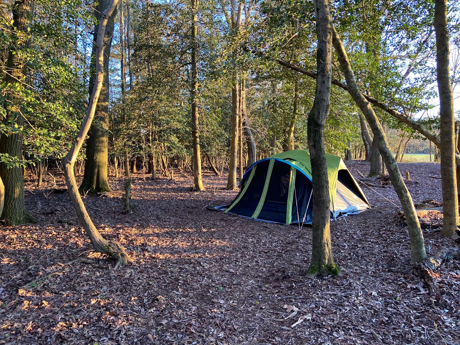 Deer Forest Hideaways Hipcamp in Bridgeville, Delaware